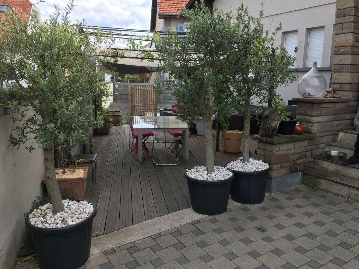 La Terrasse Selestadienne Selestat Exterior photo